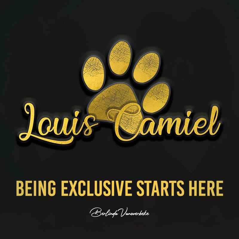 louiscamiel.com